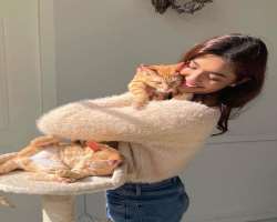 She is a pet lover. Also, she has two cats and loves spending time with them.